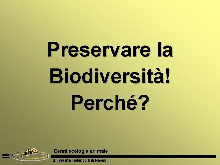 Preservare la Biodiversità! Perché? Cenni ecologia animale Università Federico II di Napoli 