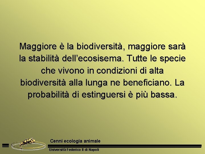Maggiore è la biodiversità, maggiore sarà la stabilità dell’ecosisema. Tutte le specie che vivono