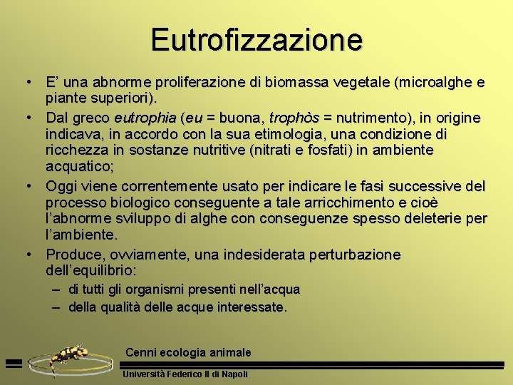 Eutrofizzazione • E’ una abnorme proliferazione di biomassa vegetale (microalghe e piante superiori). •