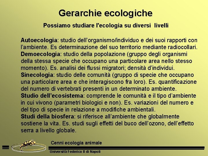 Gerarchie ecologiche Possiamo studiare l'ecologia su diversi livelli Autoecologia: studio dell’organismo/individuo e dei suoi