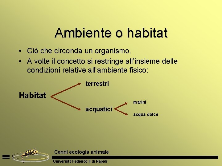 Ambiente o habitat • Ciò che circonda un organismo. • A volte il concetto