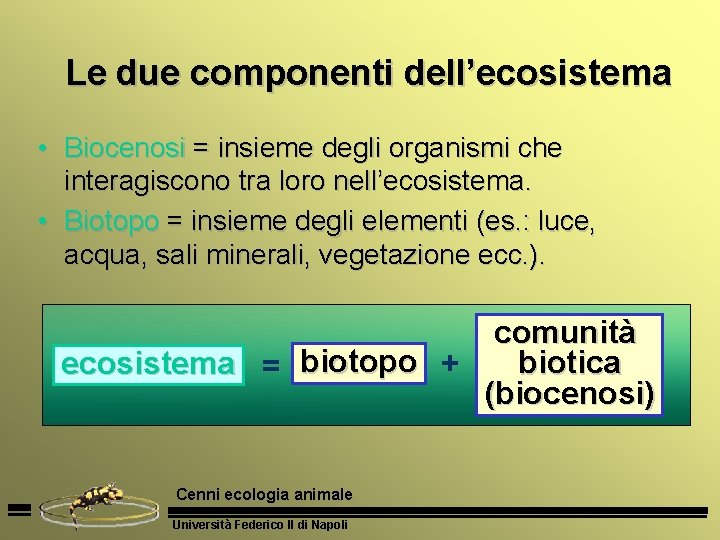 Le due componenti dell’ecosistema • Biocenosi = insieme degli organismi che interagiscono tra loro