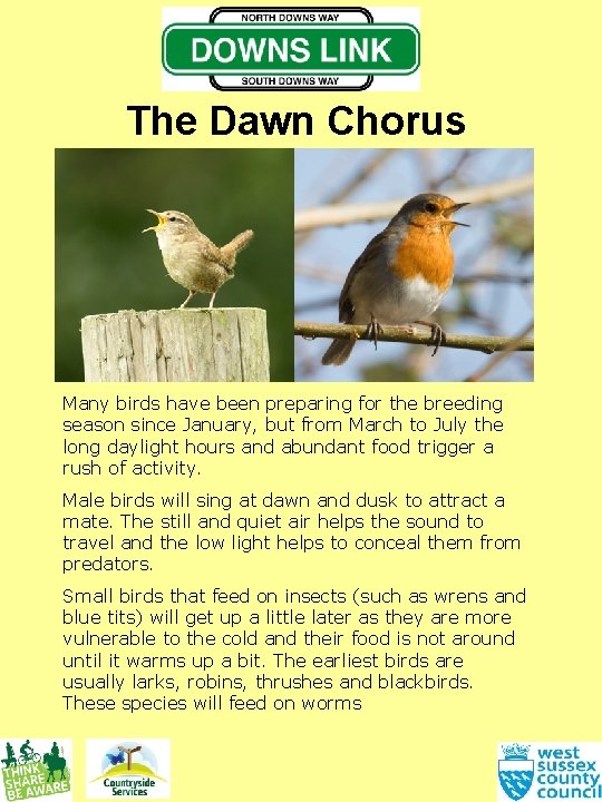 The Dawn Chorus Many birds have been preparing for the breeding season since January,