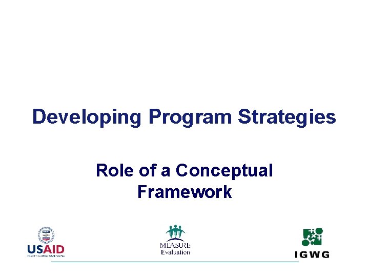 Developing Program Strategies Role of a Conceptual Framework 