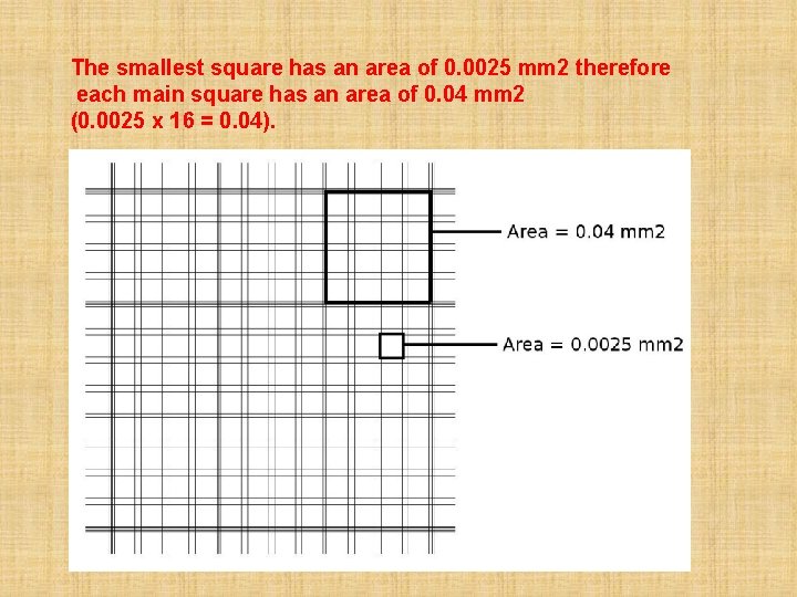 The smallest square has an area of 0. 0025 mm 2 therefore each main
