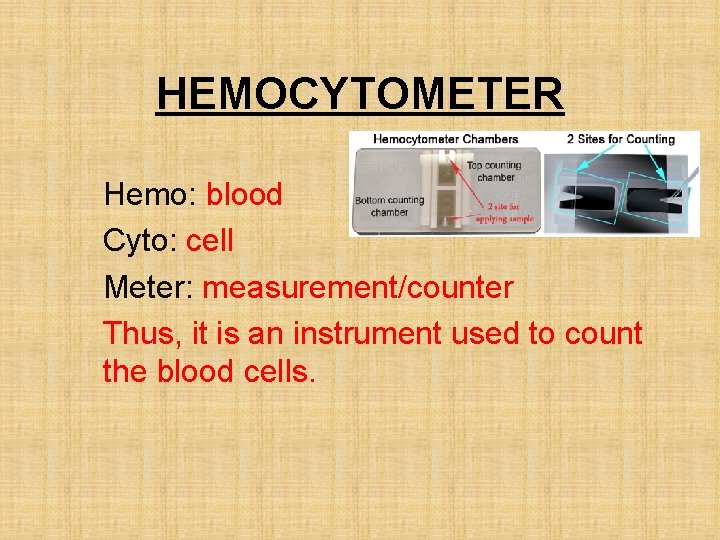 HEMOCYTOMETER Hemo: blood Cyto: cell Meter: measurement/counter Thus, it is an instrument used to