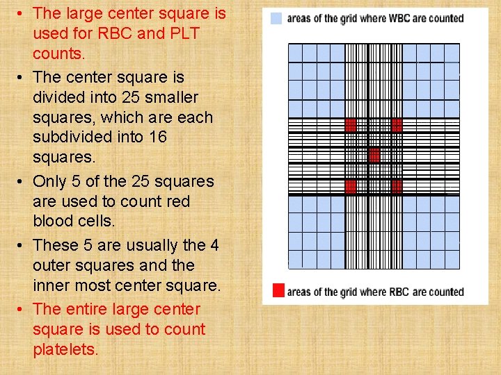  • The large center square is used for RBC and PLT counts. •
