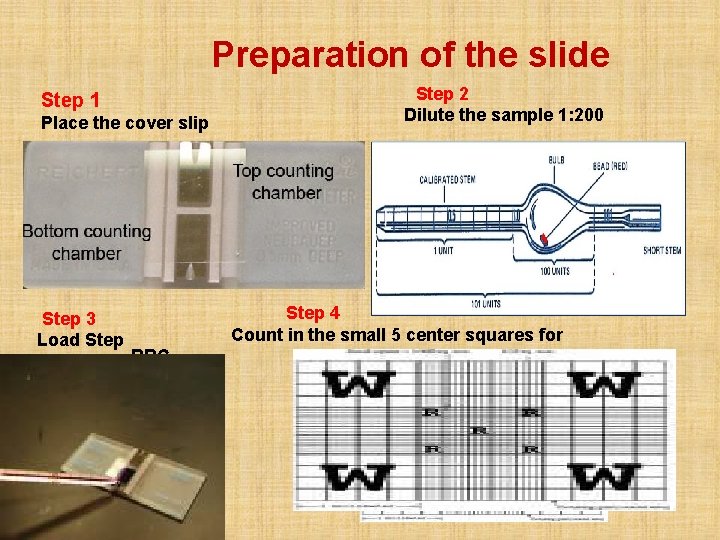 Preparation of the slide Step 1 Place the cover slip Step 3 Load Step