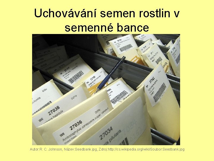 Uchovávání semen rostlin v semenné bance Autor: R. C. Johnson, Název: Seedbank. jpg, Zdroj: