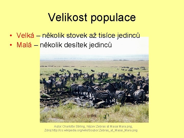 Velikost populace • Velká – několik stovek až tisíce jedinců • Malá – několik