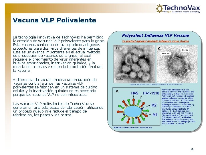 Vacuna VLP Polivalente La tecnología innovativa de Techno. Vax ha permitido la creación de