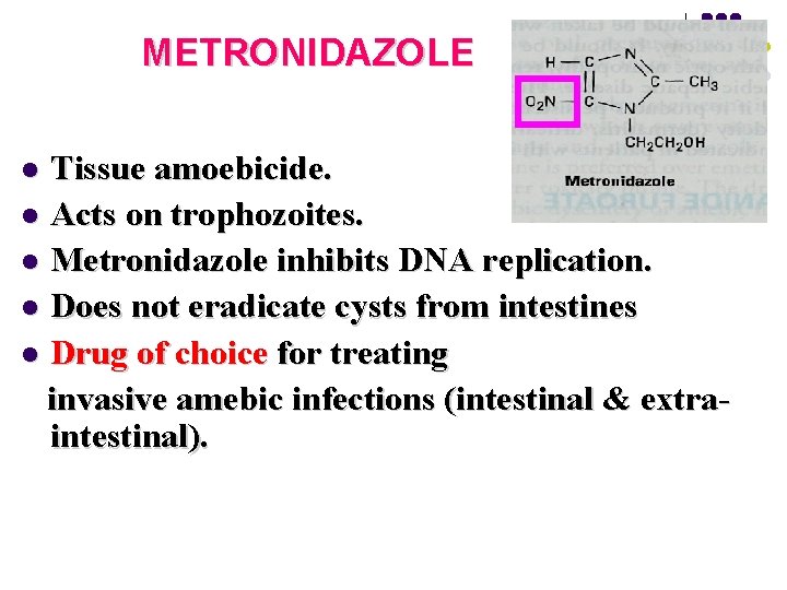 METRONIDAZOLE Tissue amoebicide. l Acts on trophozoites. l Metronidazole inhibits DNA replication. l Does