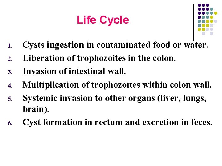 Life Cycle 1. 2. 3. 4. 5. 6. Cysts ingestion in contaminated food or