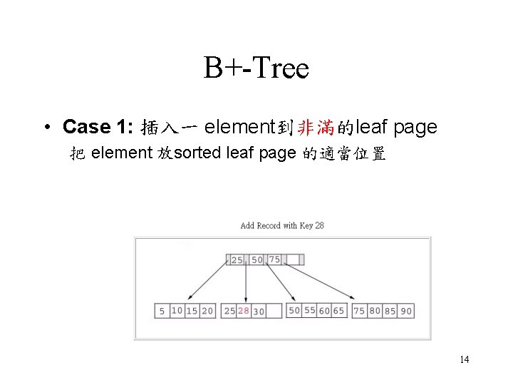 B+-Tree • Case 1: 插入一 element到非滿的leaf page 把 element 放sorted leaf page 的適當位置 14