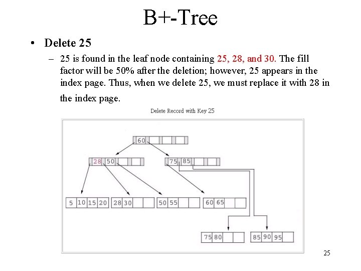 B+-Tree • Delete 25 – 25 is found in the leaf node containing 25,