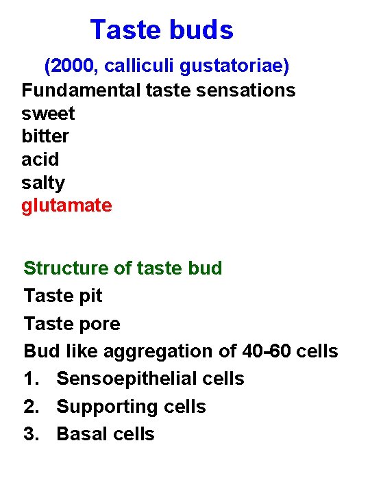 Taste buds (2000, calliculi gustatoriae) Fundamental taste sensations sweet bitter acid salty glutamate Structure