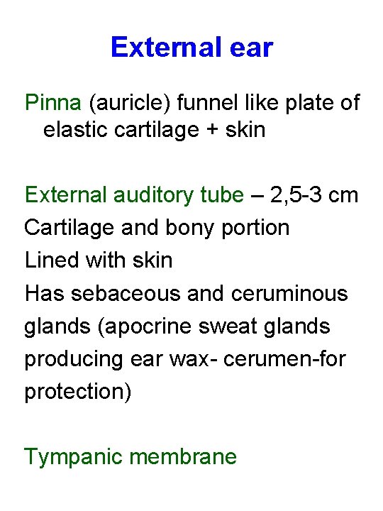 External ear Pinna (auricle) funnel like plate of elastic cartilage + skin External auditory