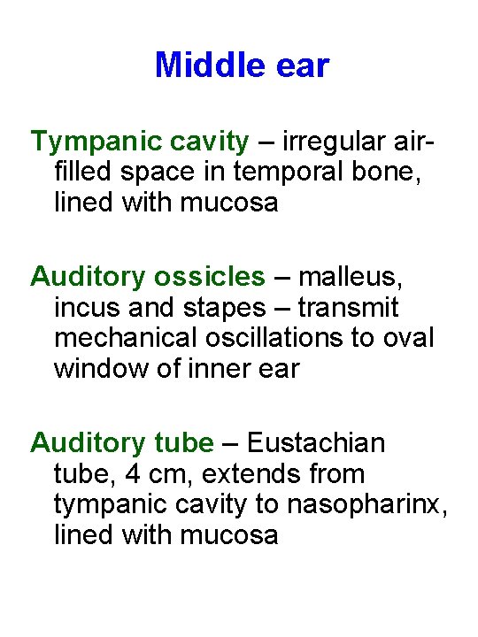 Middle ear Tympanic cavity – irregular airfilled space in temporal bone, lined with mucosa