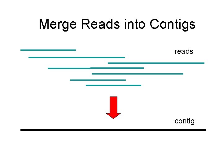 Merge Reads into Contigs reads contig 