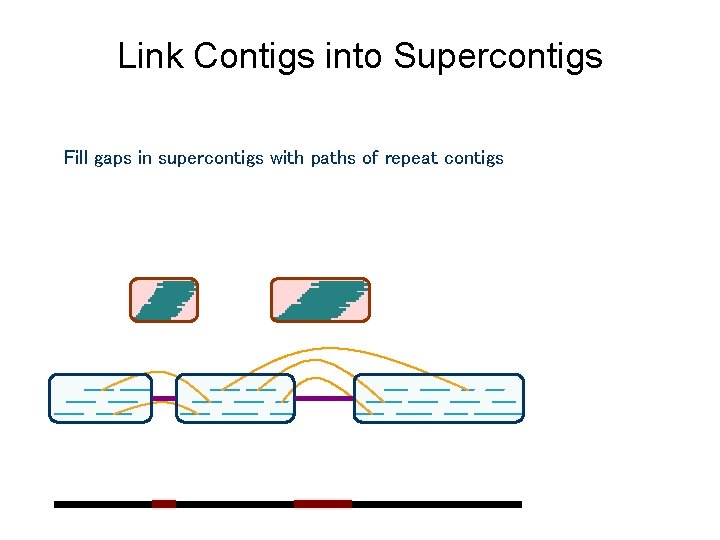 Link Contigs into Supercontigs Fill gaps in supercontigs with paths of repeat contigs 