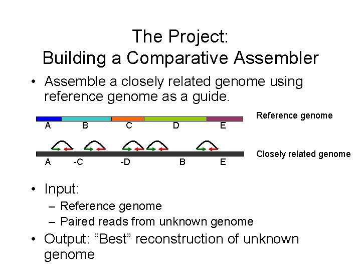 The Project: Building a Comparative Assembler • Assemble a closely related genome using reference