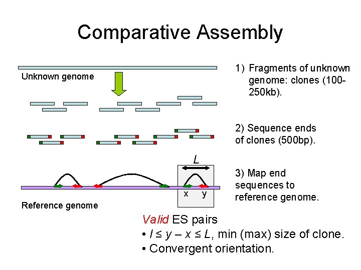 Comparative Assembly 1) Fragments of unknown genome: clones (100250 kb). Unknown genome 2) Sequence