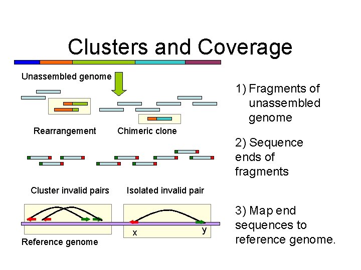 Clusters and Coverage Unassembled genome 1) Fragments of unassembled genome Rearrangement Cluster invalid pairs