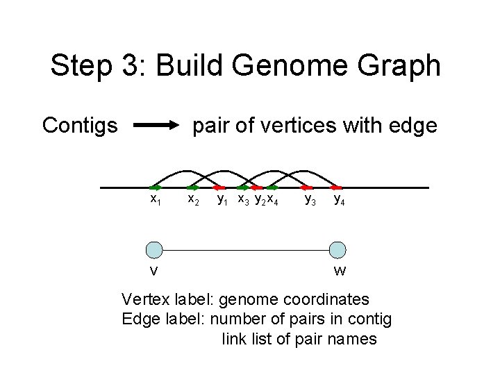 Step 3: Build Genome Graph Contigs pair of vertices with edge x 1 v