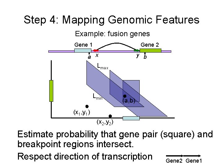 Step 4: Mapping Genomic Features Example: fusion genes Gene 1 Gene 2 a x