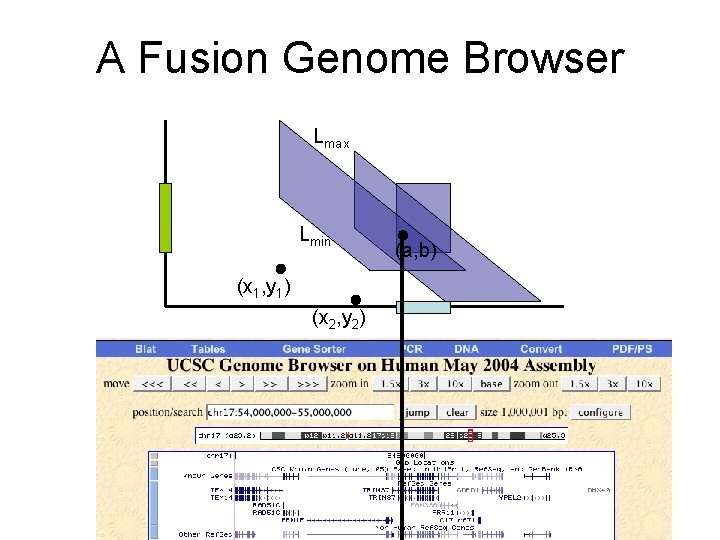 A Fusion Genome Browser Lmax Lmin (x 1, y 1) (x 2, y 2)