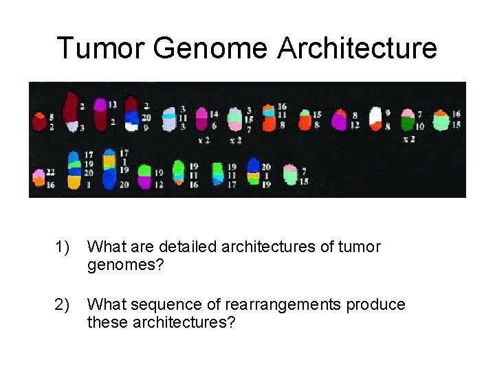 Tumor Genome Architecture 1) What are detailed architectures of tumor genomes? 2) What sequence