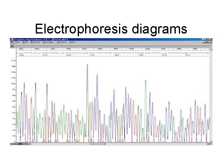 Electrophoresis diagrams 