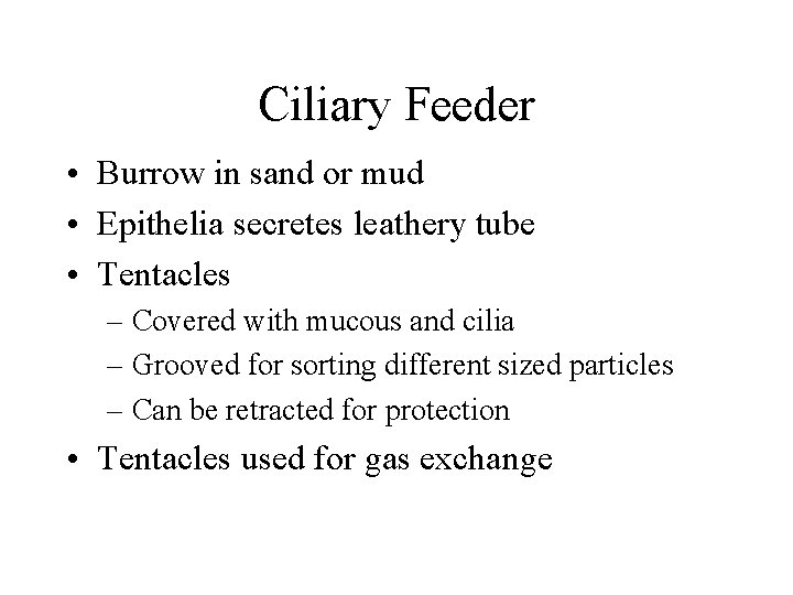 Ciliary Feeder • Burrow in sand or mud • Epithelia secretes leathery tube •