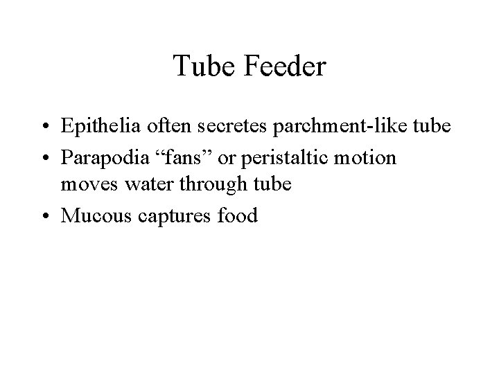 Tube Feeder • Epithelia often secretes parchment-like tube • Parapodia “fans” or peristaltic motion