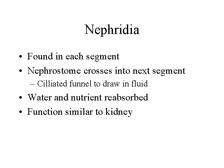 Nephridia • Found in each segment • Nephrostome crosses into next segment – Cilliated