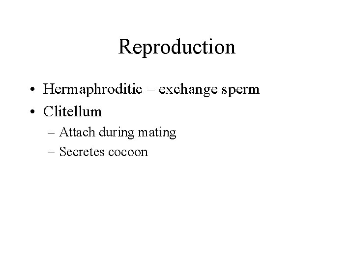Reproduction • Hermaphroditic – exchange sperm • Clitellum – Attach during mating – Secretes