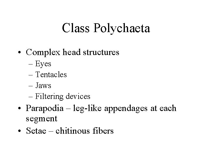 Class Polychaeta • Complex head structures – Eyes – Tentacles – Jaws – Filtering