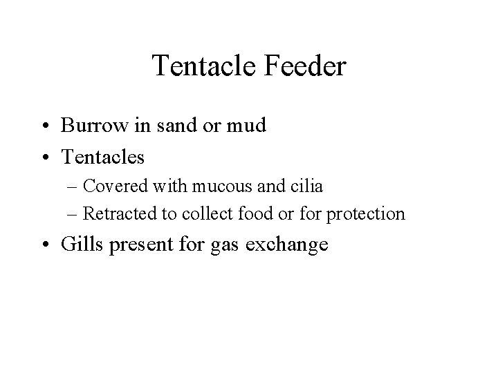 Tentacle Feeder • Burrow in sand or mud • Tentacles – Covered with mucous