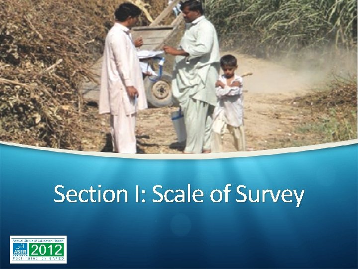 Section I: Scale of Survey 