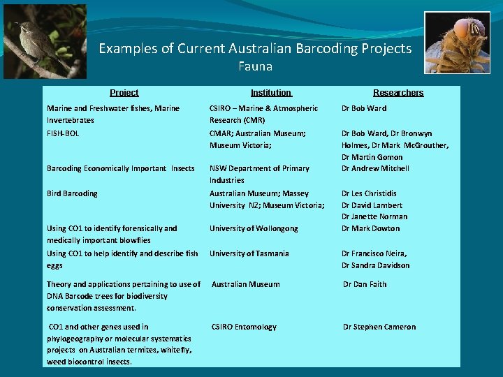 Examples of Current Australian Barcoding Projects Fauna Project Institution Researchers Marine and Freshwater fishes,