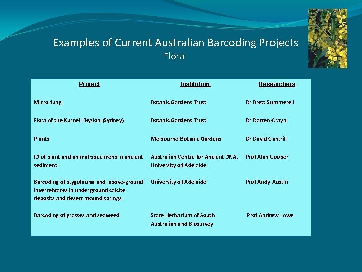 Examples of Current Australian Barcoding Projects Flora Project Institution Researchers Micro-fungi Botanic Gardens Trust