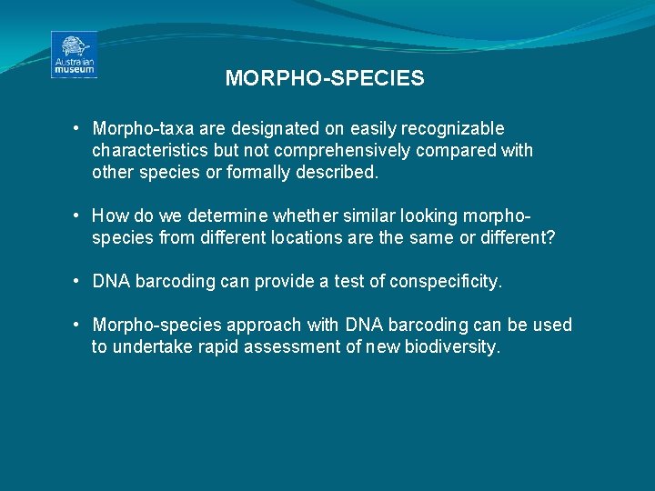 MORPHO-SPECIES • Morpho-taxa are designated on easily recognizable characteristics but not comprehensively compared with