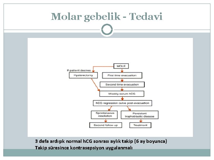 Molar gebelik - Tedavi 3 defa ardışık normal h. CG sonrası aylık takip (6