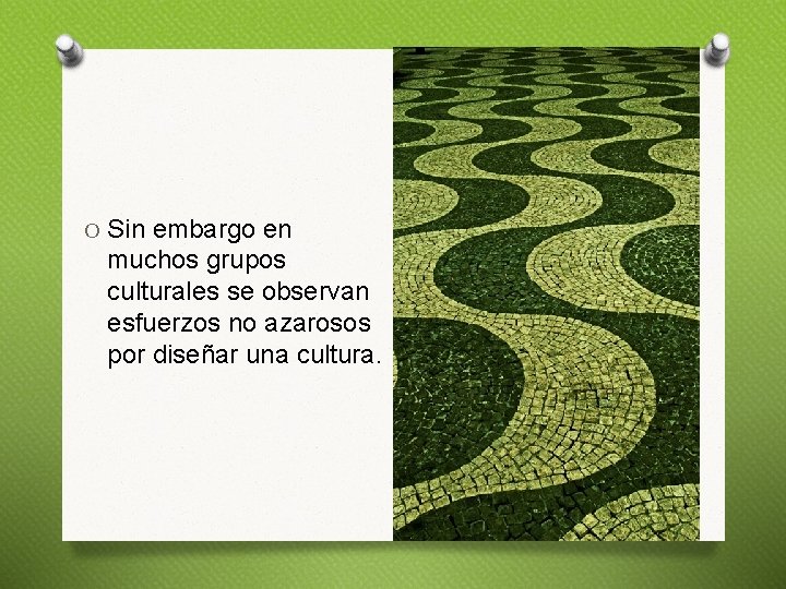 O Sin embargo en muchos grupos culturales se observan esfuerzos no azarosos por diseñar