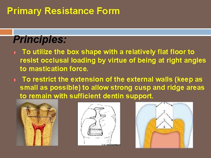 Primary Resistance Form Principles: To utilize the box shape with a relatively flat floor