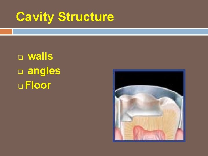 Cavity Structure walls q angles q Floor q 