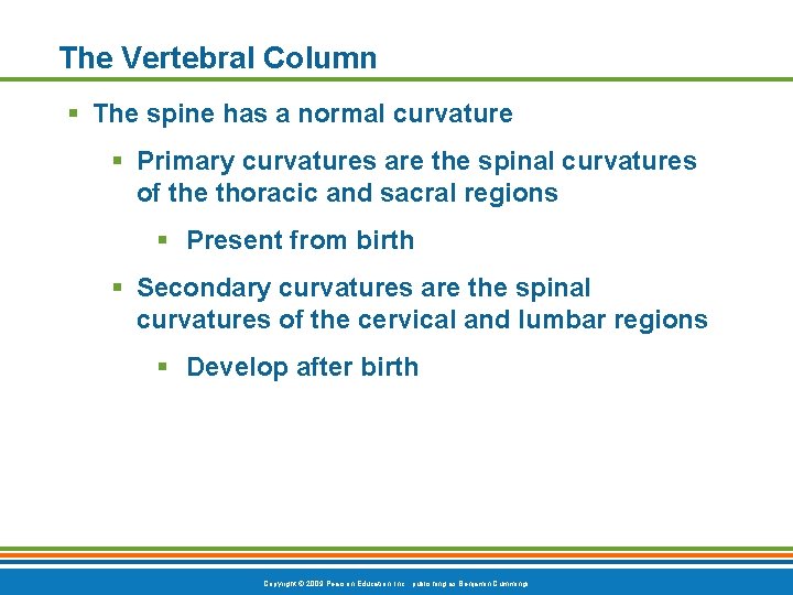 The Vertebral Column § The spine has a normal curvature § Primary curvatures are