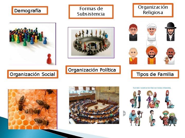 Demografía Organización Social Formas de Subsistencia Organización Política Organización Religiosa Tipos de Familia 