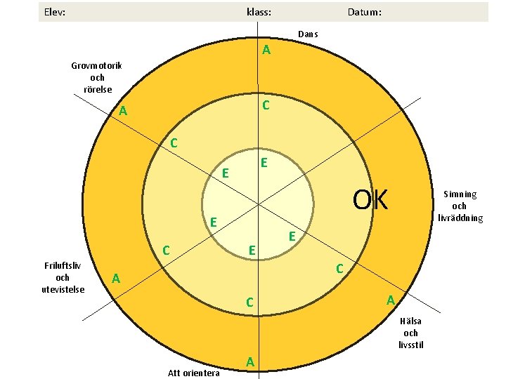 Elev: klass: Datum: Dans A Grovmotorik och rörelse C A C E E OK
