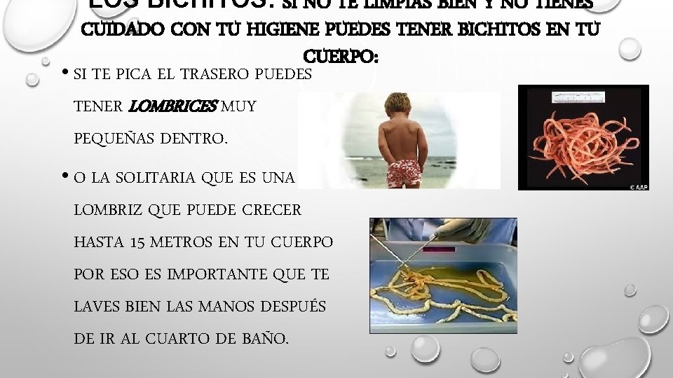LOS BICHITOS: SI NO TE LIMPIAS BIEN Y NO TIENES CUIDADO CON TU HIGIENE